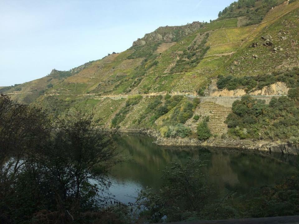 Acogedor Apartamento Ribeira Sacra Monforte De Lemos Esterno foto