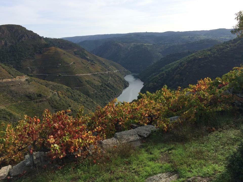 Acogedor Apartamento Ribeira Sacra Monforte De Lemos Esterno foto